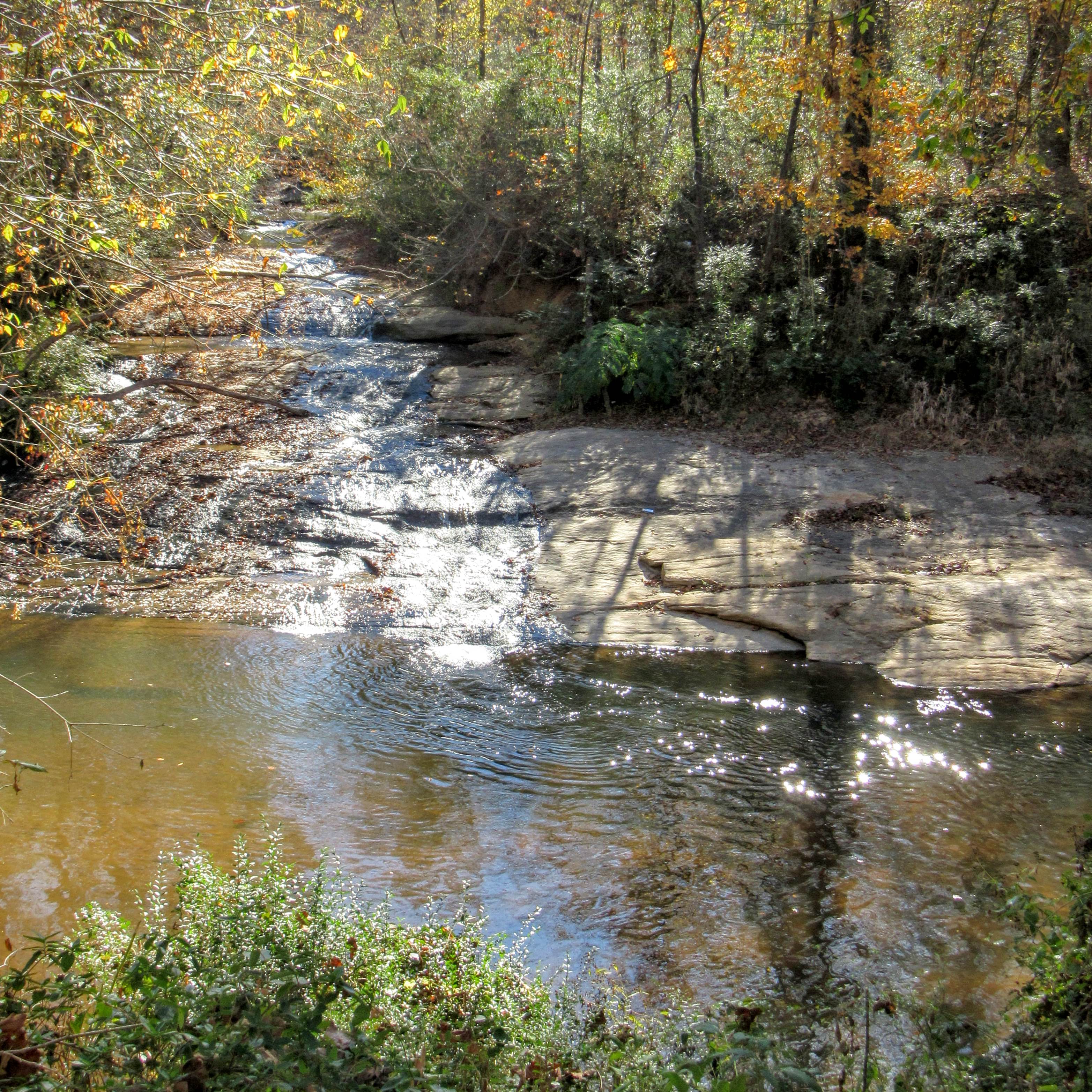 Hiking in Shelby, NC: the First Broad River Trail.