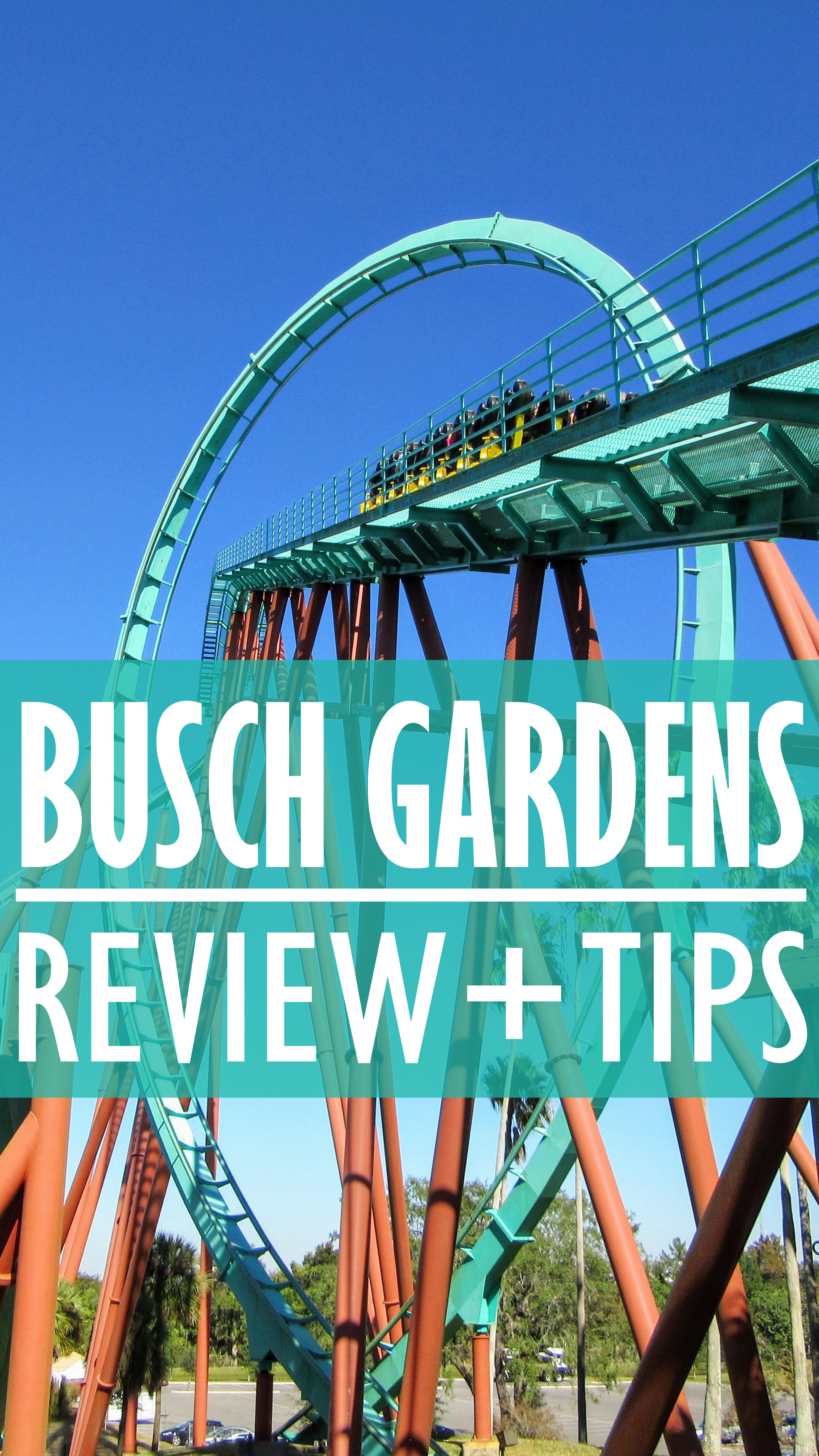 Visiting Busch Gardens Tampa Bay A Review + Tips.